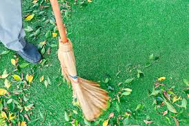 Artificial grass cleaning service – Artificial Grass Cleaning Service for Homes and Businesses