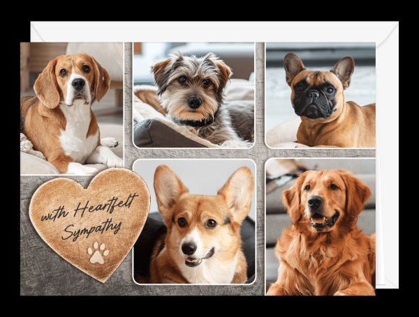 Why Every Vet Clinic Needs Pet Sympathy Cards in Bulk: Compassion That Builds Lasting Client Bonds